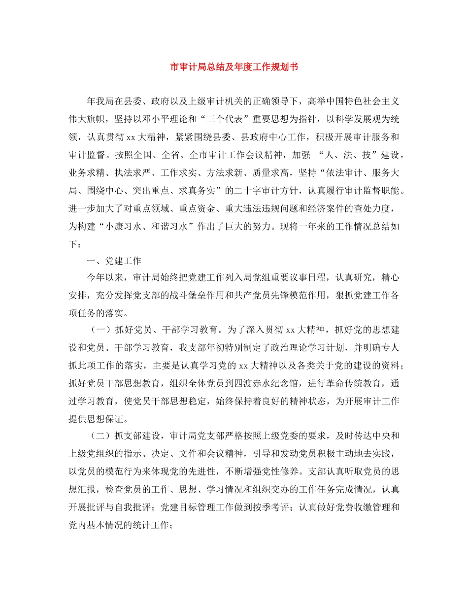 市审计局总结及年度工作规划书 _第1页
