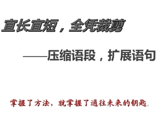 2021压缩语段之概括要点最终版