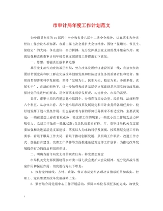 市审计局年度工作计划范文 