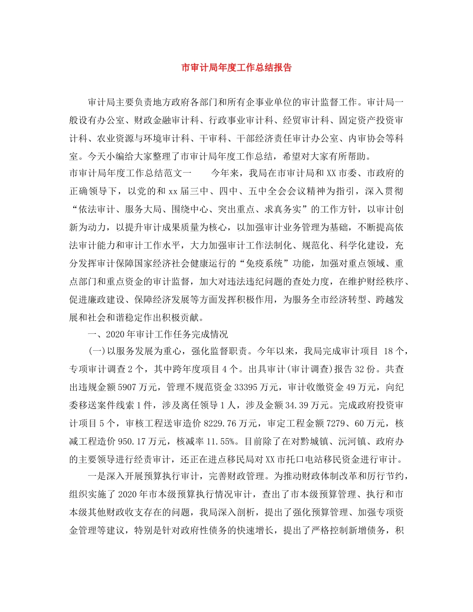 市审计局年度工作总结报告 _第1页