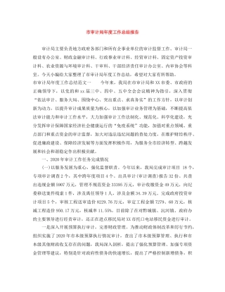 市审计局年度工作总结报告 