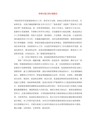 市审计局工作计划范文 