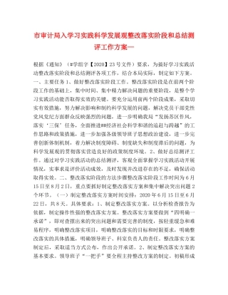 市审计局入学习实践科学发展观整改落实阶段和总结测评工作方案— 