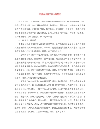 市委办公室工作小结范文 