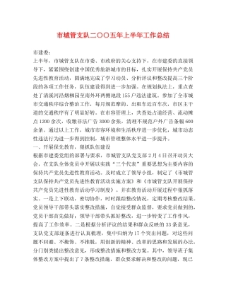 市城管支队二○○五年上半年工作总结 