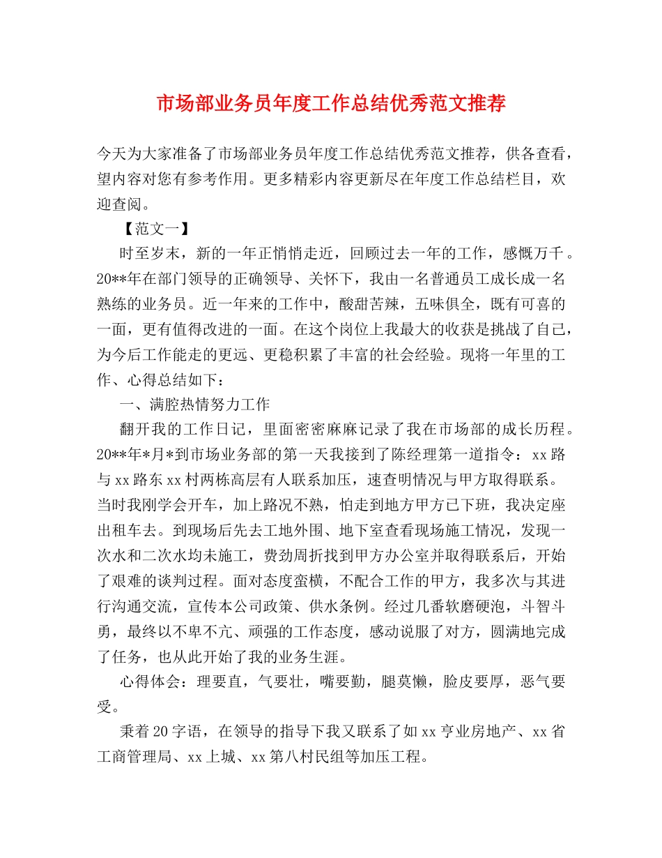 市场部业务员年度工作总结优秀范文推荐 _第1页