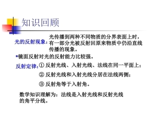 平面镜成像 (3)