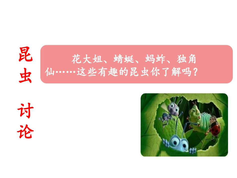 《昆虫备忘录》教学课件2_第3页