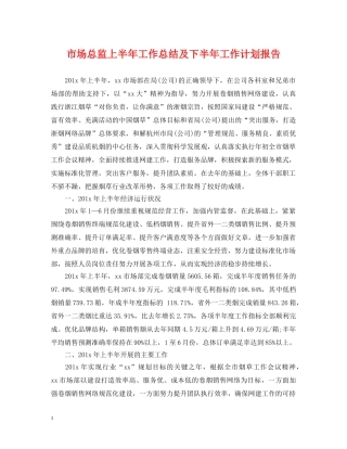 市场总监上半年工作总结及下半年工作计划报告 