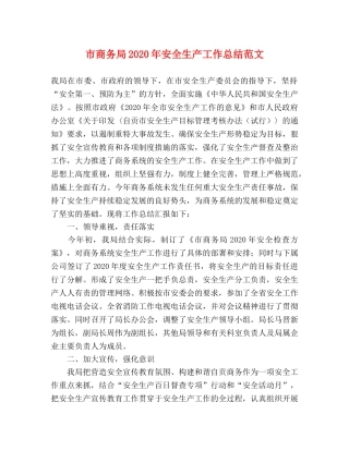 市商务局2020年安全生产工作总结范文 