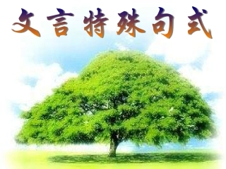 文言文特殊句式