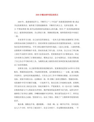 乡镇出纳年度总结范文
