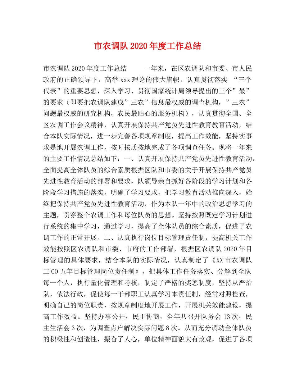 市农调队2020年度工作总结 _第1页