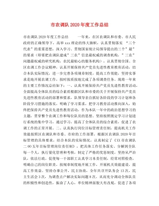 市农调队2020年度工作总结 