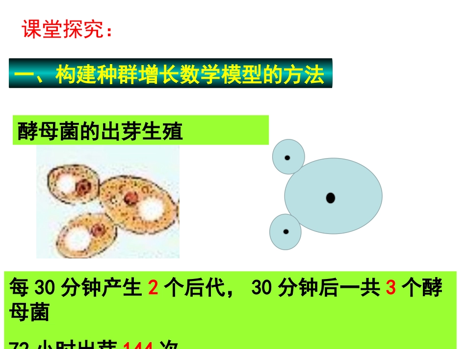 种群数量变化_第3页