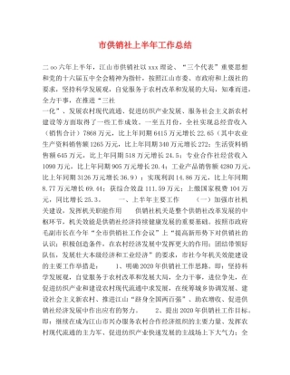 市供销社上半年工作总结 