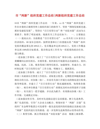 市“两新”组织党建工作总结-两新组织党建工作总结 