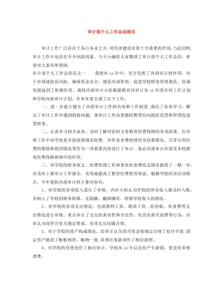 审计部个人工作总结报告 