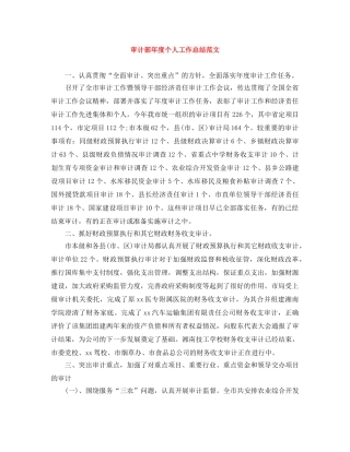 审计部年度个人工作总结范文 