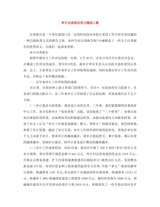 审计自查报告范文精选3篇 