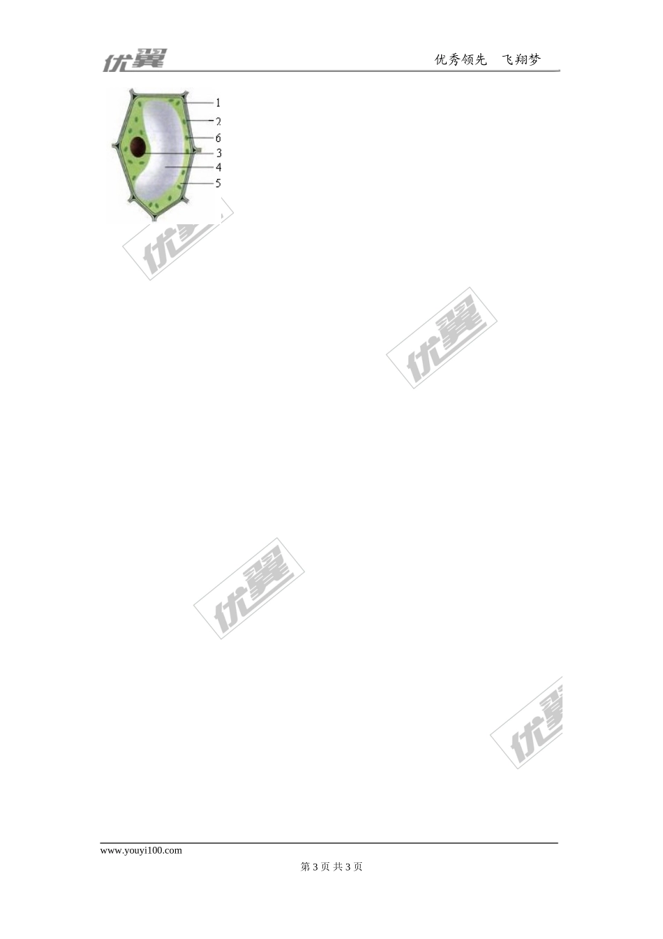 第四节细胞的生活 (2)_第3页