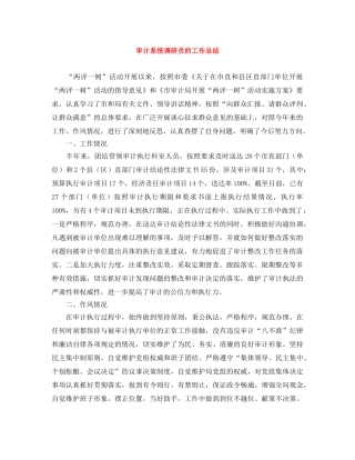 审计系统调研员的工作总结 