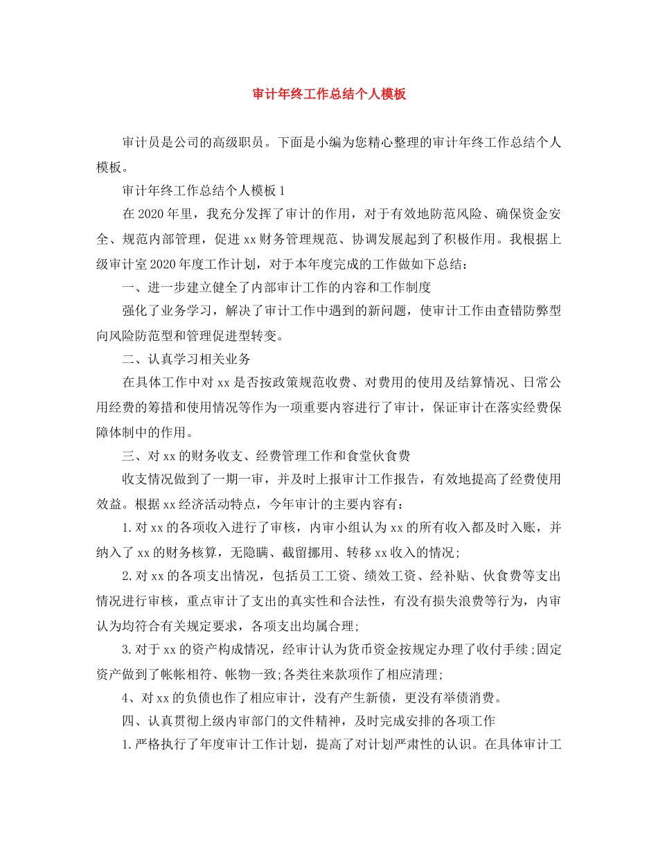 审计年终工作总结个人模板 _第1页