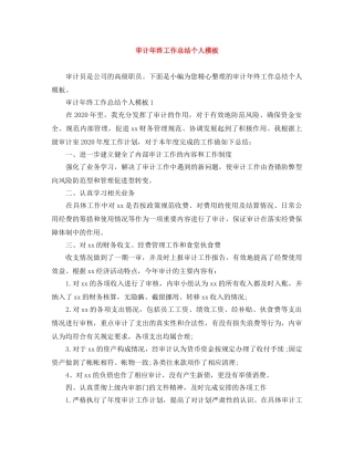 审计年终工作总结个人模板 