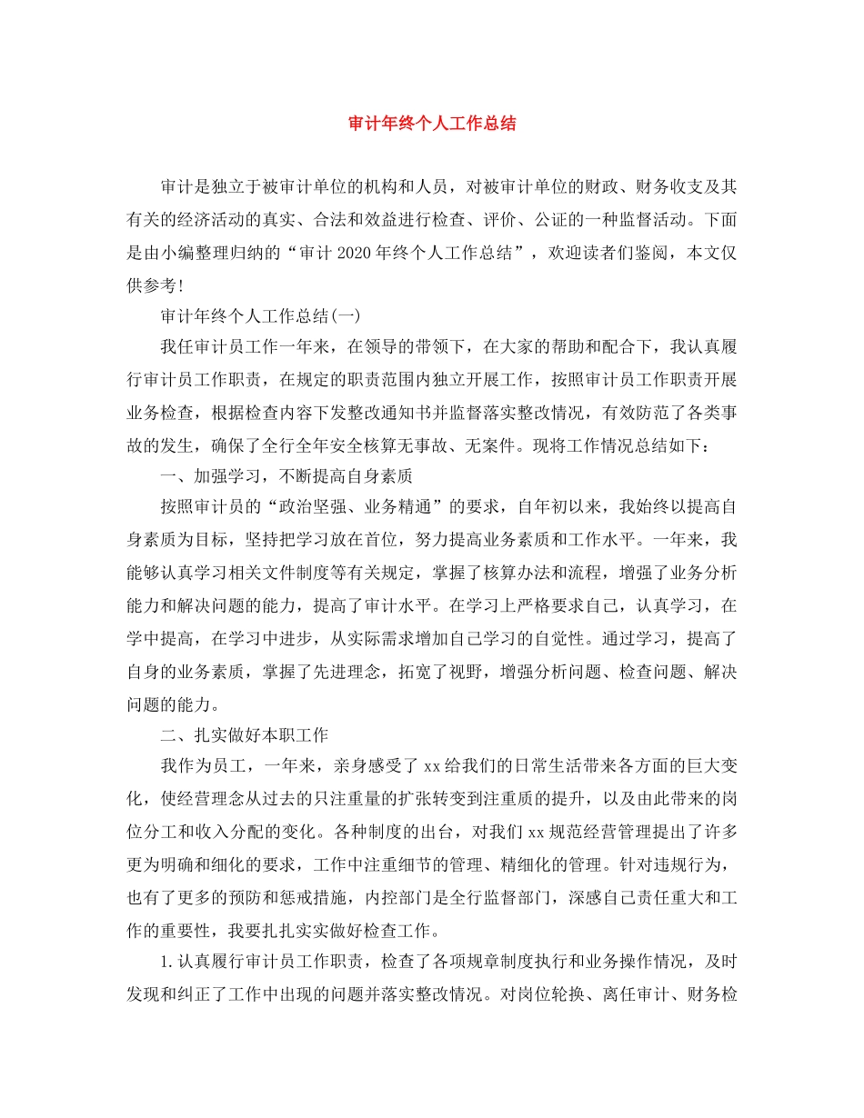 审计年终个人工作总结 _第1页