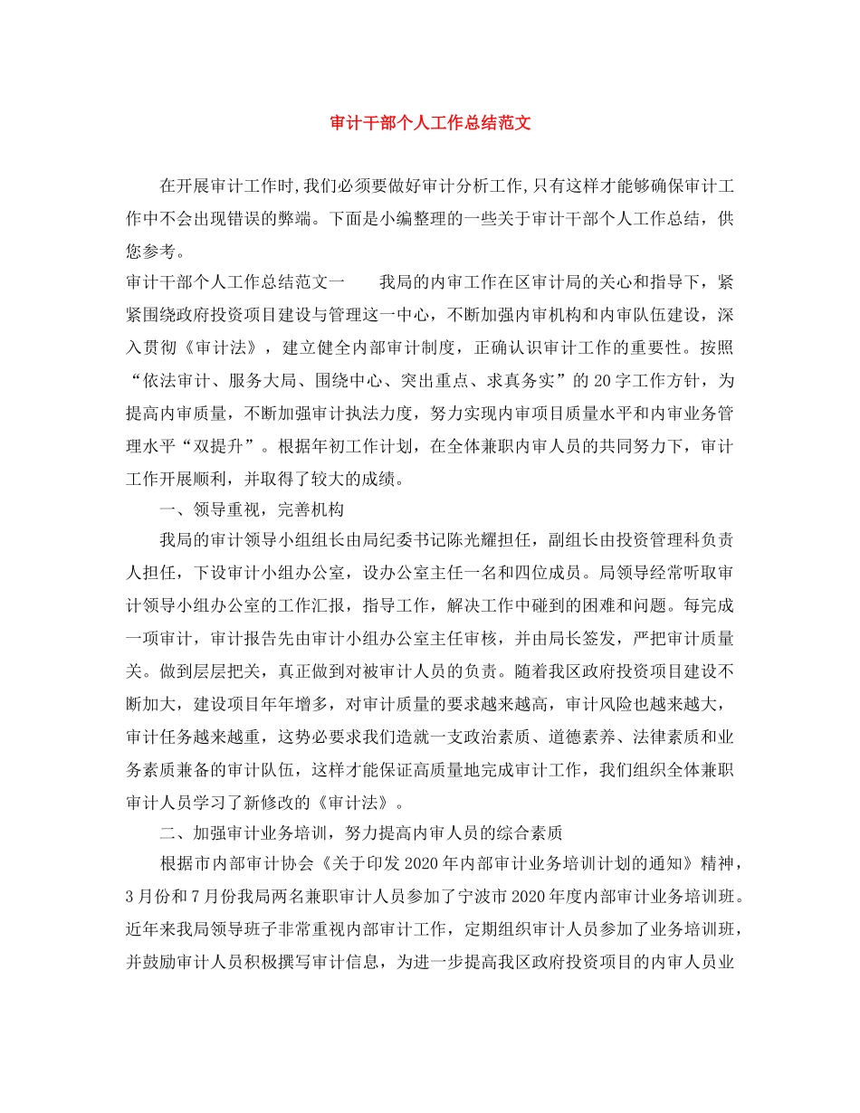 审计干部个人工作总结范文 _第1页