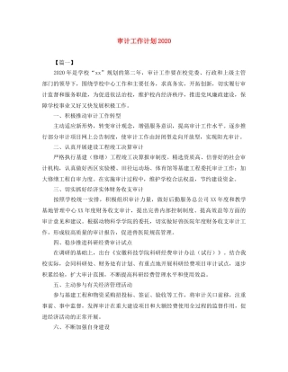 审计工作计划2020 