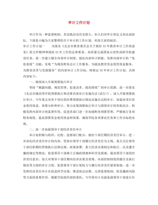 审计工作计划 