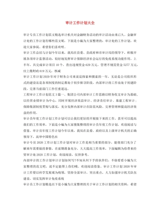 审计工作计划大全 
