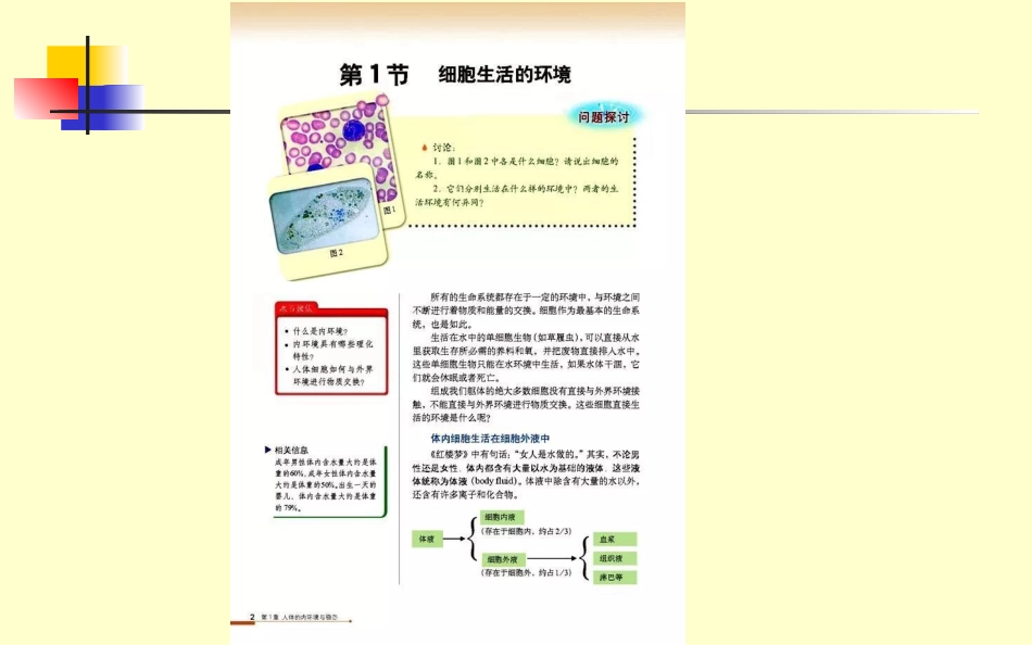 内环境与稳态-第一章-第一节_第2页