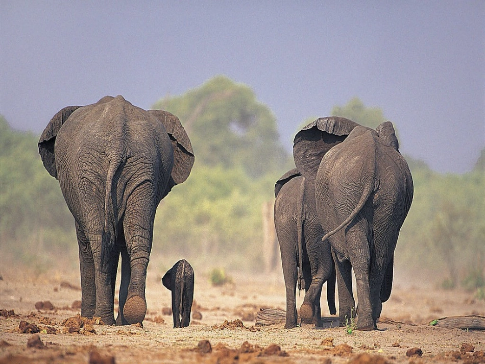 演示文稿2(3)_第2页