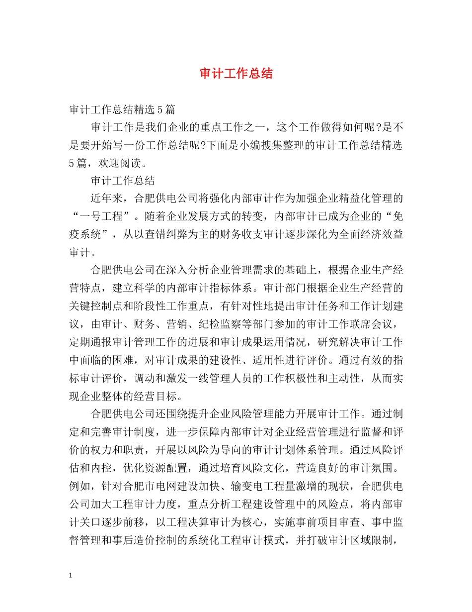 审计工作总结 _第1页