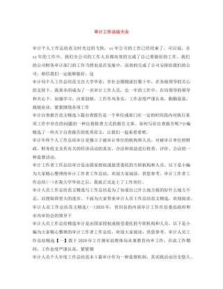 审计工作总结大全 
