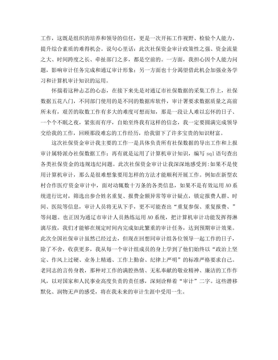 审计工作个人年度工作总结 _第3页