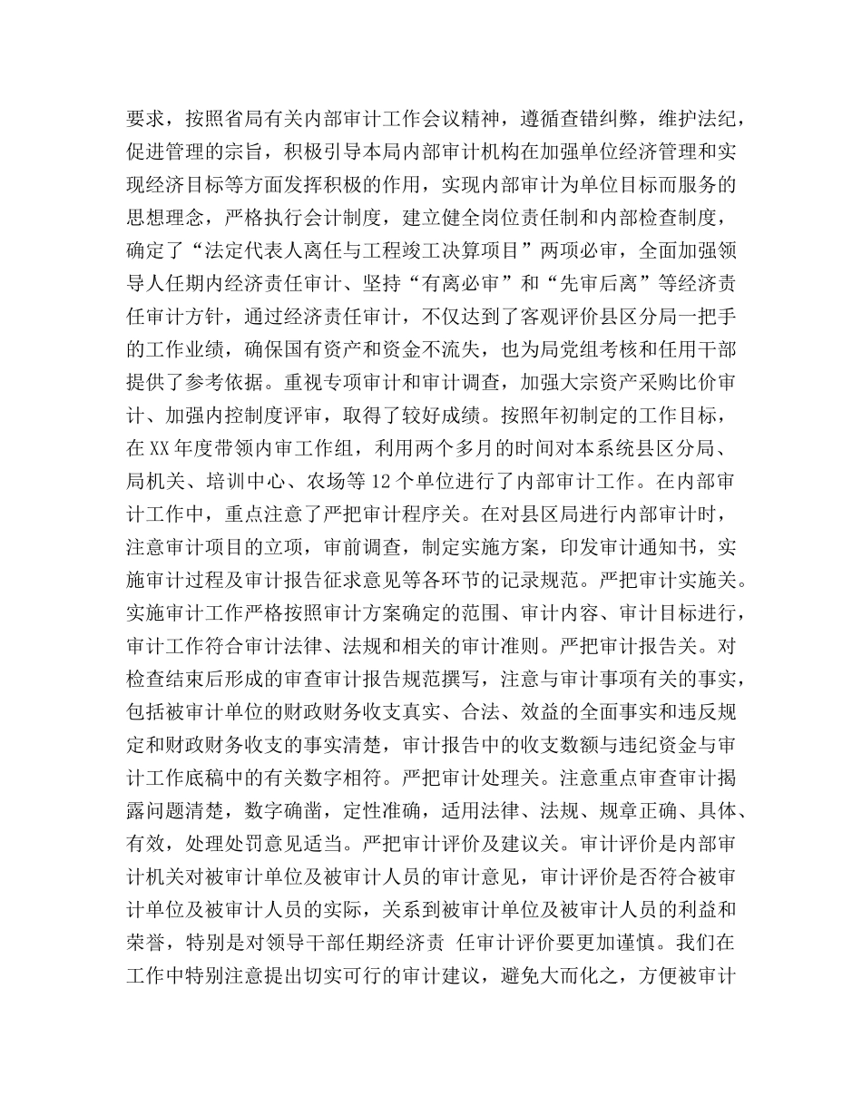 审计工作个人工作总结 _第2页