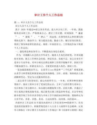 审计工作个人工作总结 