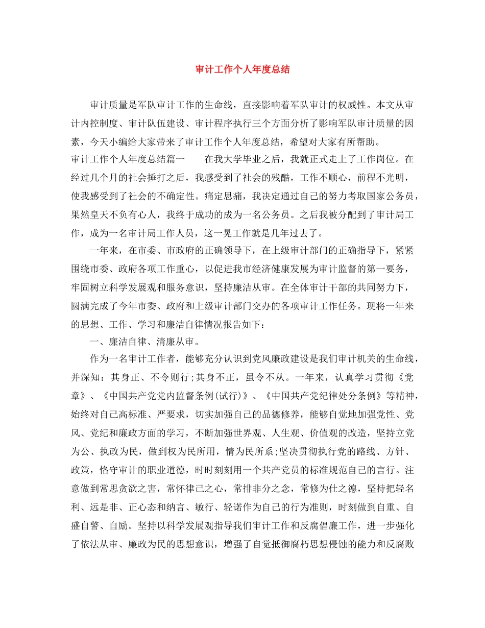 审计工作个人年度总结 _第1页