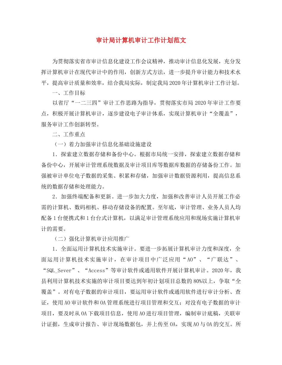 审计局计算机审计工作计划范文 _第1页