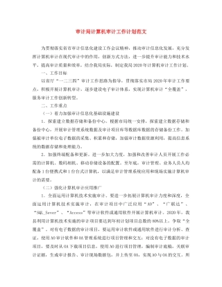 审计局计算机审计工作计划范文 