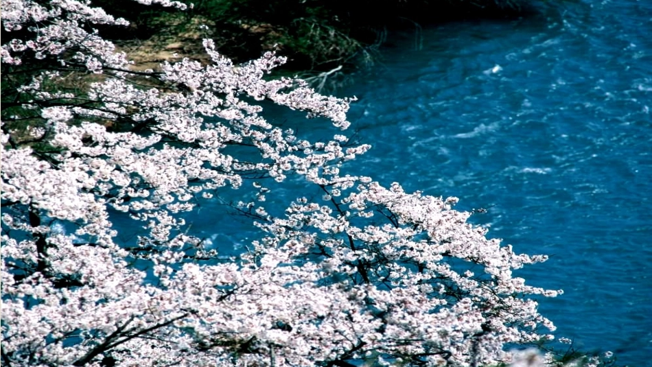部编版八年级下册9桃花源记课件（33张）_第3页