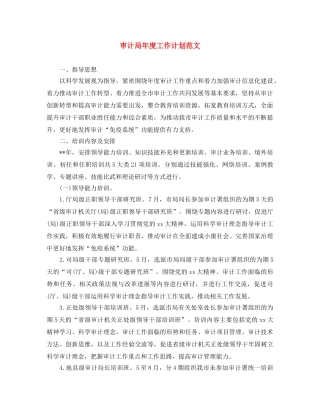 审计局年度工作计划范文 