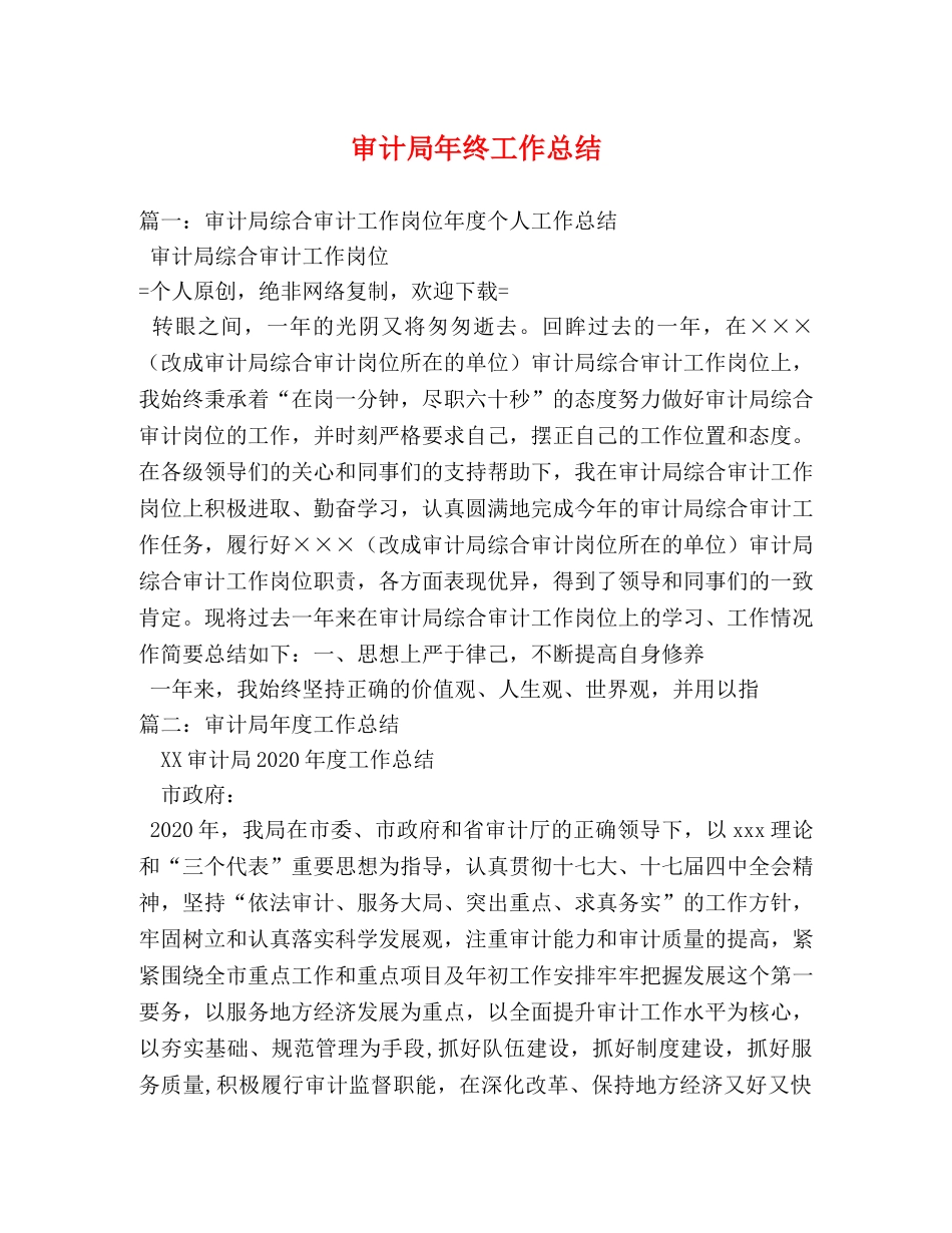 审计局年终工作总结 _第1页