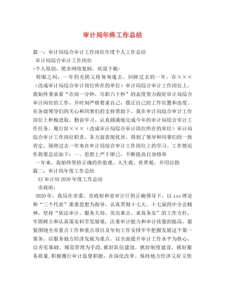审计局年终工作总结 