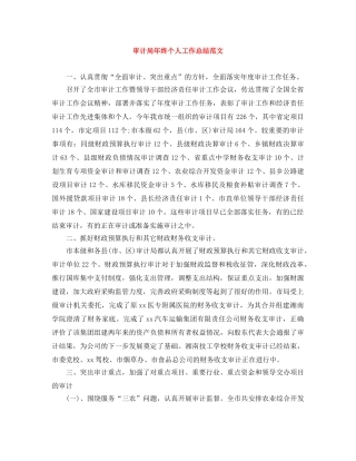 审计局年终个人工作总结范文 