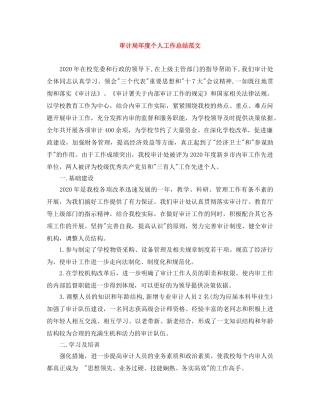 审计局年度个人工作总结范文 