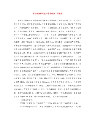 审计局局长年度工作总结及工作思路 